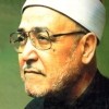 Мухаммад аль-Газали