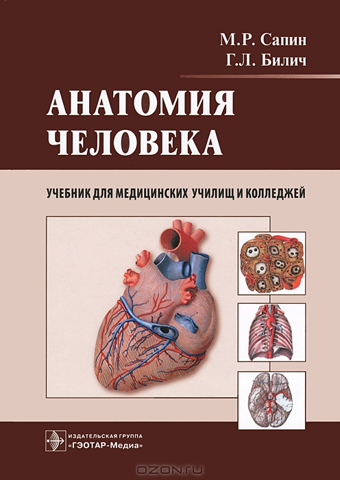 Скачать учебник анатомия человека сапин билич 2-ой том