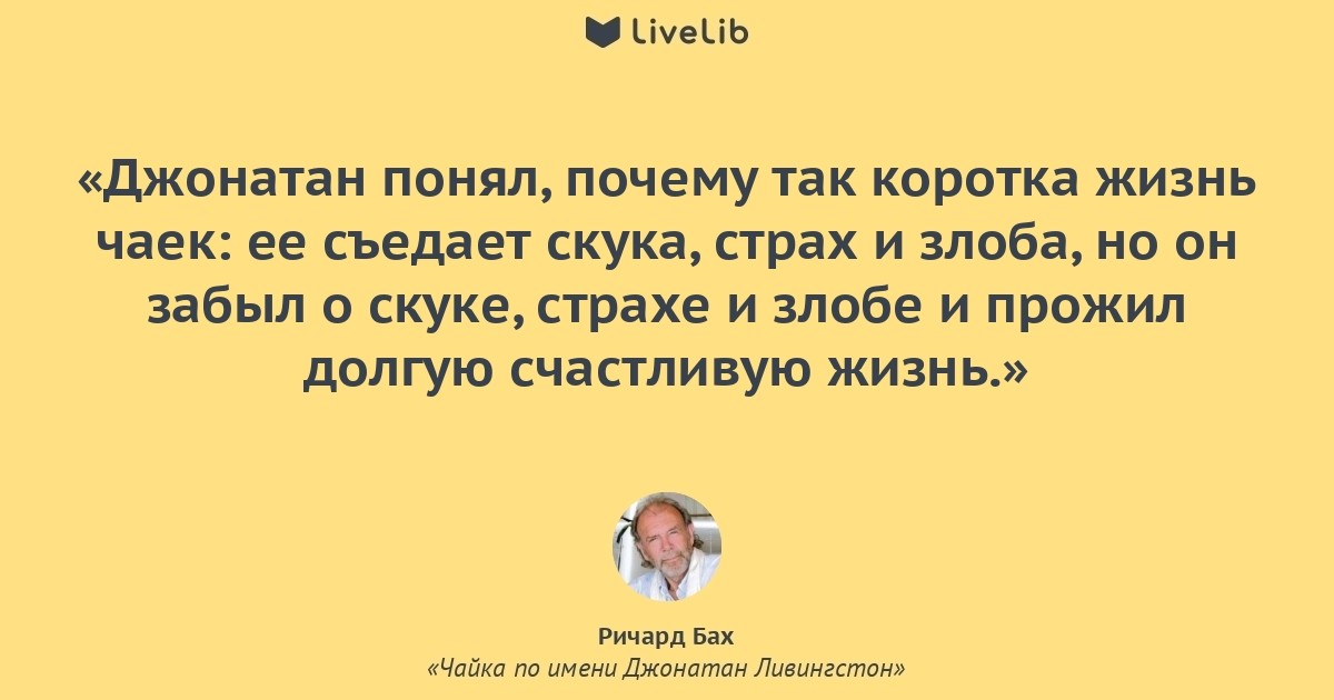 Ричард Бах. Чайка по имени Джонатан Ливингстон