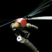 neodragonfly