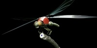 neodragonfly