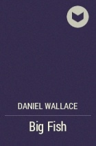 Daniel Wallace - Big Fish