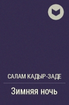 Салам Кадыр-заде - Зимняя ночь