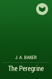 J.A. Baker - The Peregrine