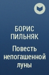 Борис Пильняк - Повесть непогашенной луны