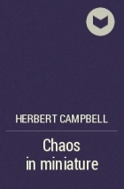 Herbert Campbell - Chaos in miniature