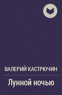 Валерий Кастрючин - Лунной ночью