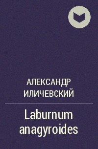 Александр Иличевский - Laburnum anagyroides