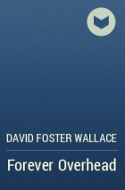 David Foster Wallace - Forever Overhead