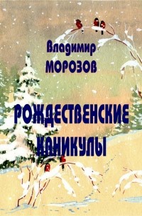 Владимир Морозов - Рождественские каникулы