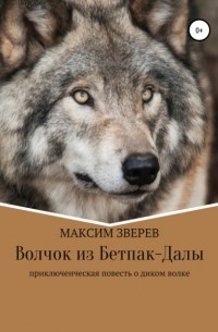 Максим Зверев - Волчок из Бетпак-Далы