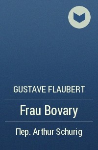 Gustave Flaubert - Frau Bovary