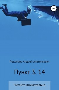 Андрей Анатольевич Пошатаев - Пункт 3. 14