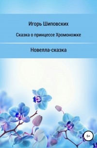Игорь Шиповских - Сказка о принцессе хромоножке