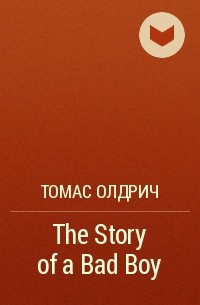 Томас Олдрич - The Story of a Bad Boy