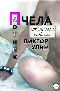 Виктор Улин - Пчела-плотник. Xylocopa violacea