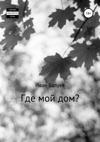Иван Александрович Валуев - Где мой дом?