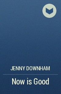 Jenny Downham - Now is Good