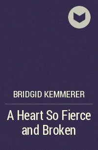 Bridgid Kemmerer - A Heart So Fierce and Broken