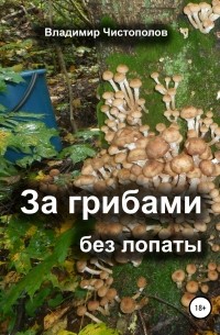 Владимир Иванович Чистополов - За грибами без лопаты