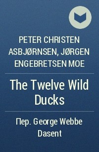  - The Twelve Wild Ducks
