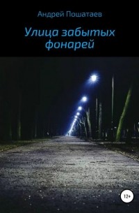 Андрей Анатольевич Пошатаев - Улица забытых фонарей
