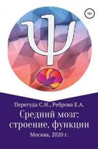 Сергей Николаевич Перегуда - Средний мозг: строение и функции