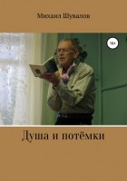 Михаил Никитич Шувалов - Душа и потёмки