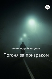 Александр Аввакумов - Погоня за призраком
