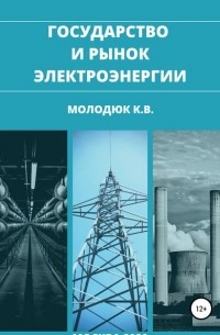 Константин Викторович Молодюк - Государство и рынок электроэнергии