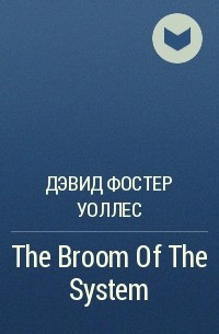 Дэвид Фостер Уоллес - The Broom Of The System