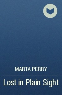 Marta  Perry - Lost in Plain Sight