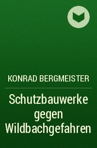 Konrad  Bergmeister - Schutzbauwerke gegen Wildbachgefahren