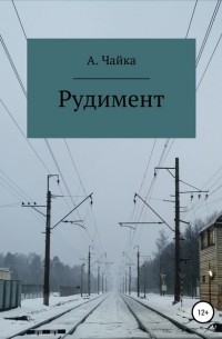Алина Андреевна Чайка - Рудимент