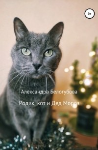 Александра Белогубова - Родик, кот и Дед Мороз