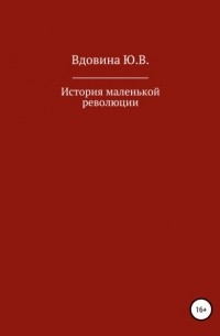 Юлия Вдовина - История маленькой революции