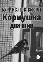 Виктор Геннадьевич Бурмистров - Кормушка для птиц