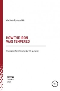 Владимир Юрьевич Рябушкин - How the Iron was tempered