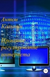Антон Олегович Калинин - Правовое регулирование интернета