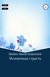 Марсель Зуфарович Шафеев - Мгновенная страсть