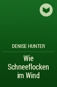 Denise Hunter - Wie Schneeflocken im Wind